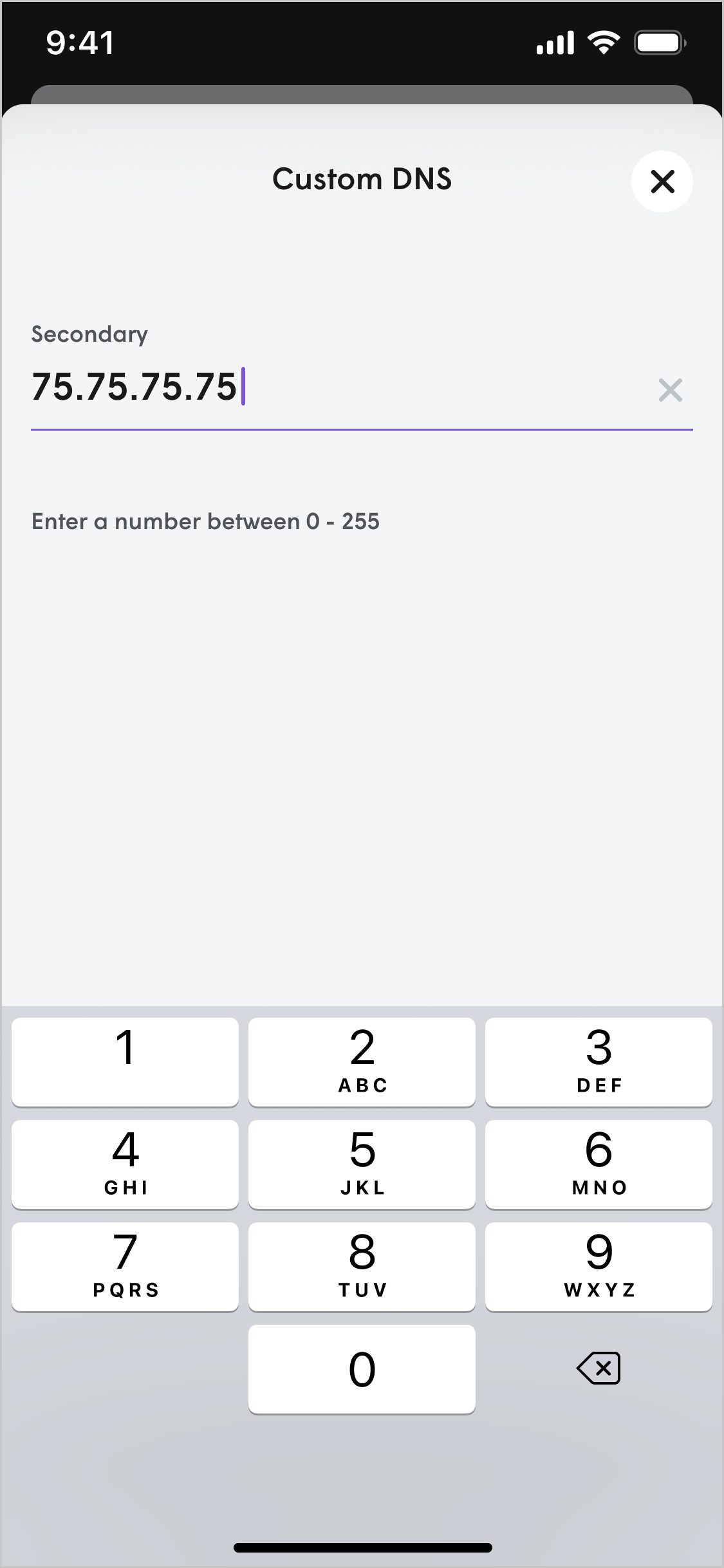 How do I set up a custom DNS on Plume Home?